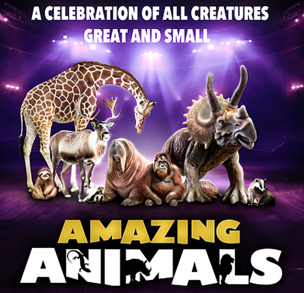 amazing_animals
